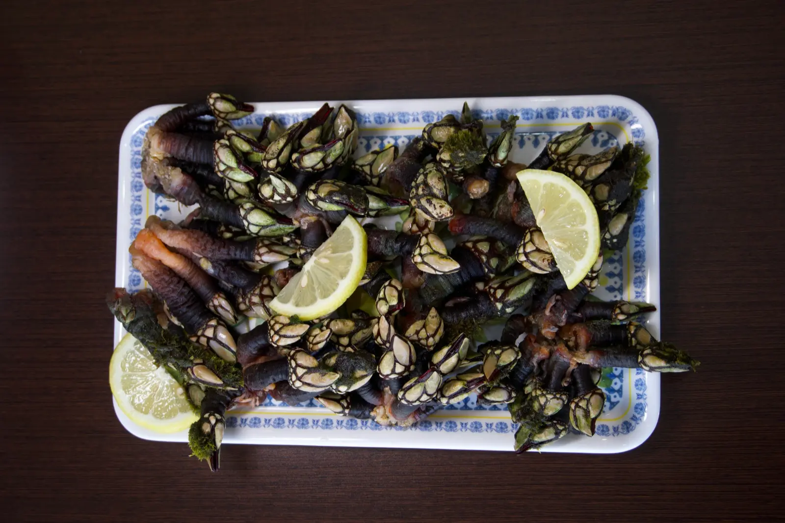 Percebes cozidos vistos de cima